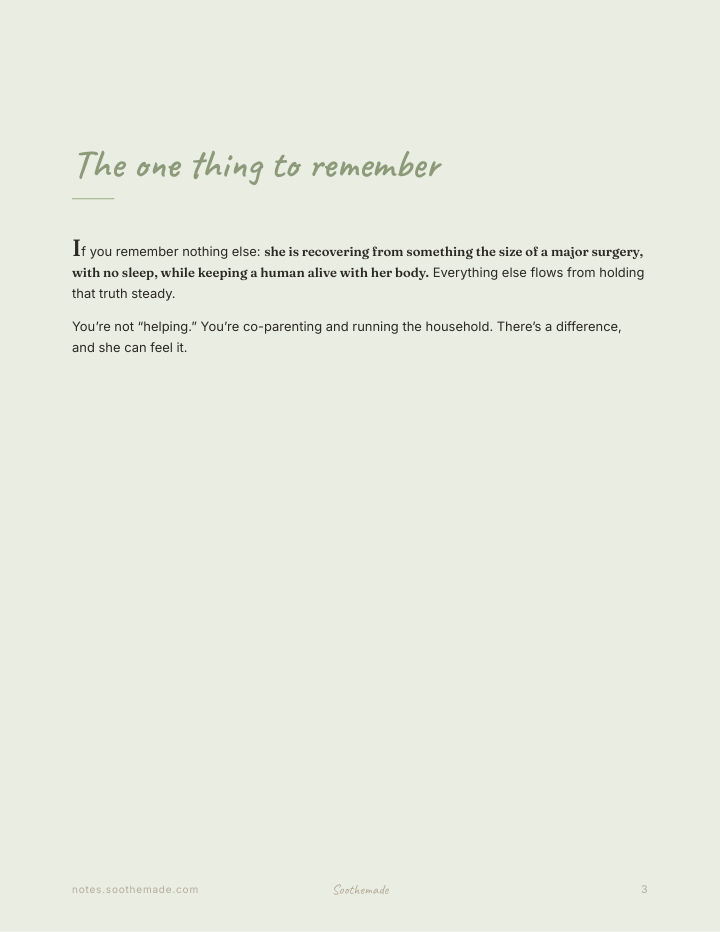 Page 3 of The Partner's Postpartum Playbook: How to Help in the First Weeks