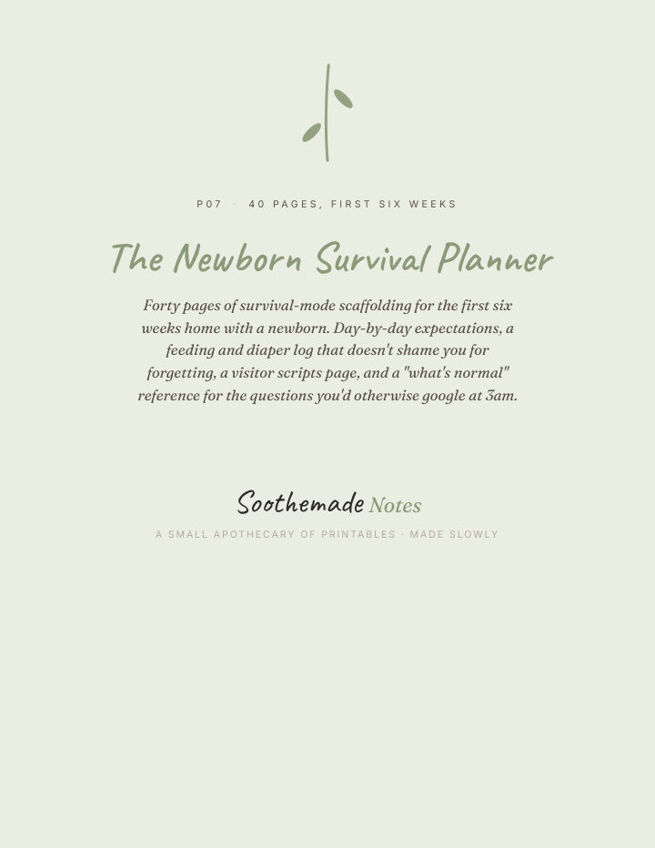 Page 1 of Newborn Feeding and Diaper Log: A First Six Weeks Survival Planner