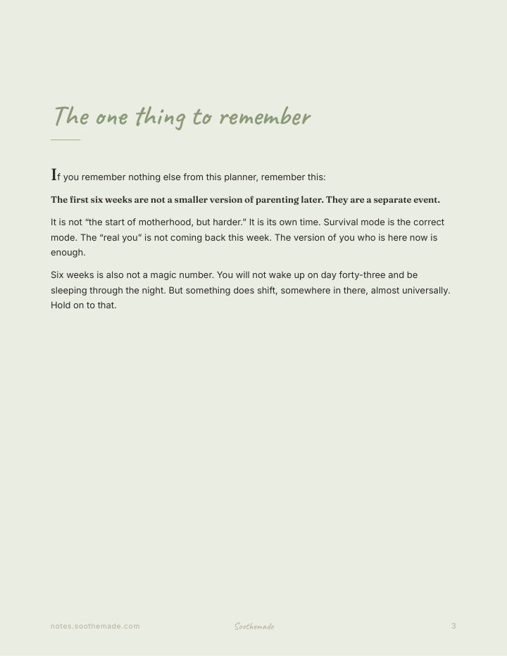 Page 3 of Newborn Feeding and Diaper Log: A First Six Weeks Survival Planner