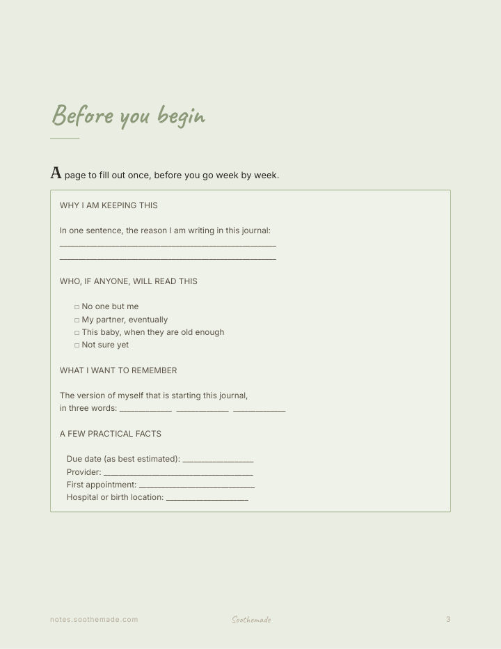 Page 3 of Pregnancy Journal Week by Week: a record of being there, weeks 6 to 40