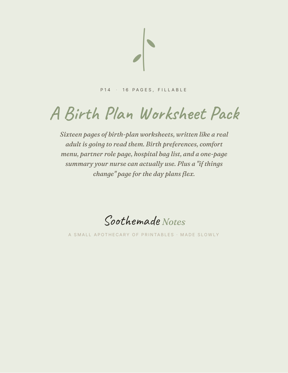 Cover page of Birth Plan Template, Printable and Fillable PDF: The One Page the Nurse Can Actually Read
