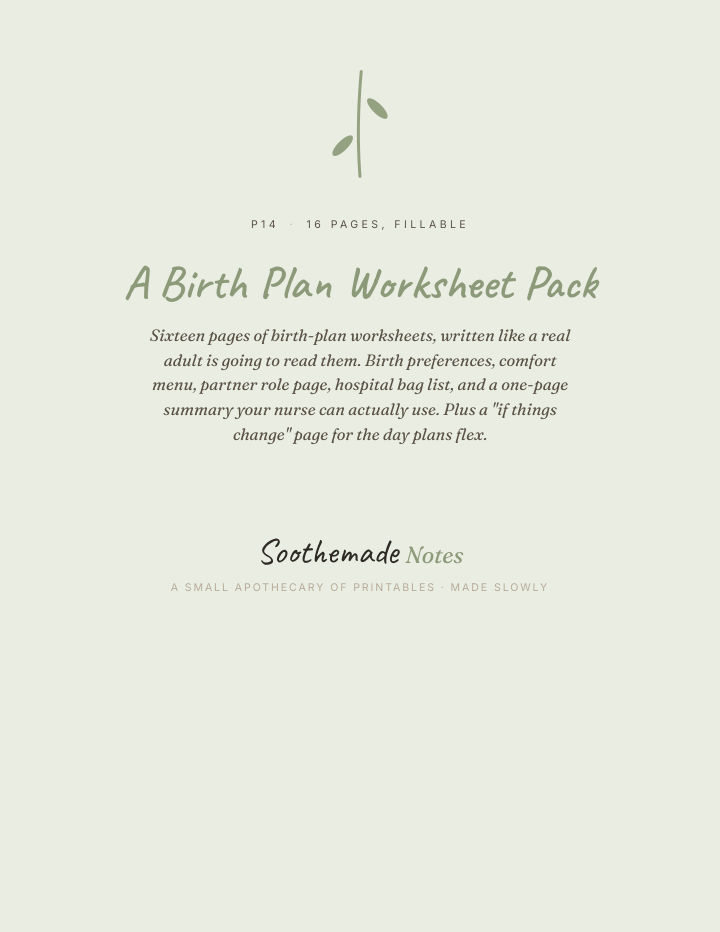 Page 1 of Birth Plan Template, Printable and Fillable PDF: The One Page the Nurse Can Actually Read