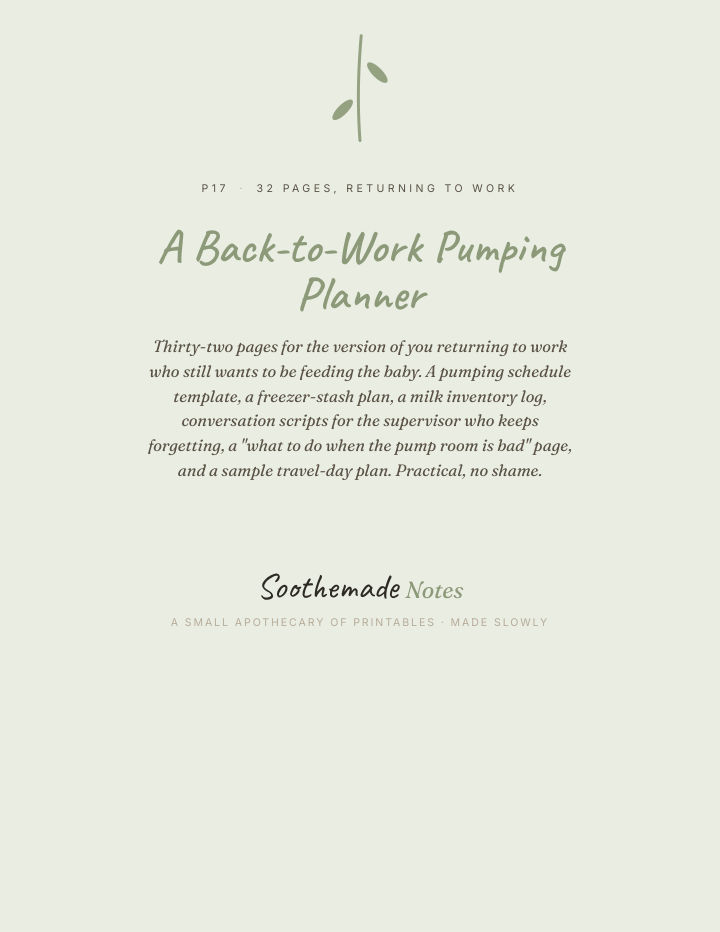 Page 1 of Pumping at Work Schedule and Planner: For the Day Before, and Every Day After