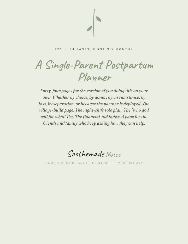 Page 1 of Single Mom Postpartum Planner: For the Version of You Doing It Alone