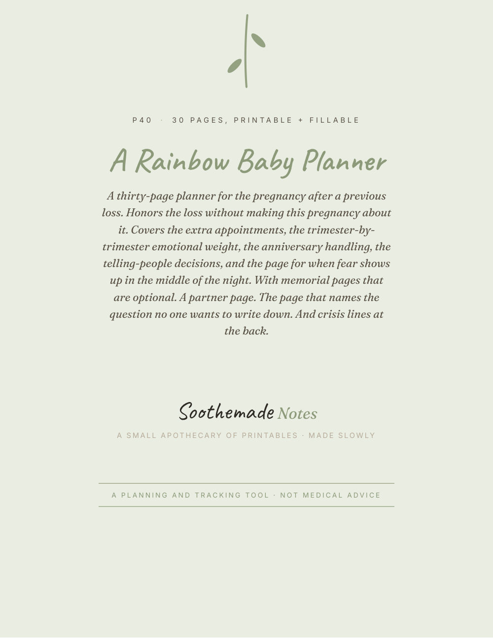 Cover page of Pregnancy After Loss Planner: a calm place for the second story. Rainbow Baby