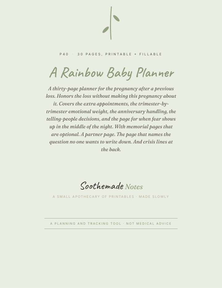 Page 1 of Pregnancy After Loss Planner: a calm place for the second story. Rainbow Baby