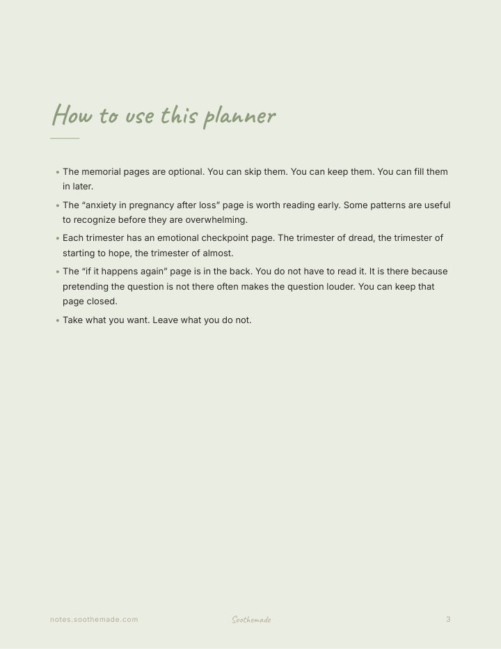 Page 3 of Pregnancy After Loss Planner: a calm place for the second story. Rainbow Baby
