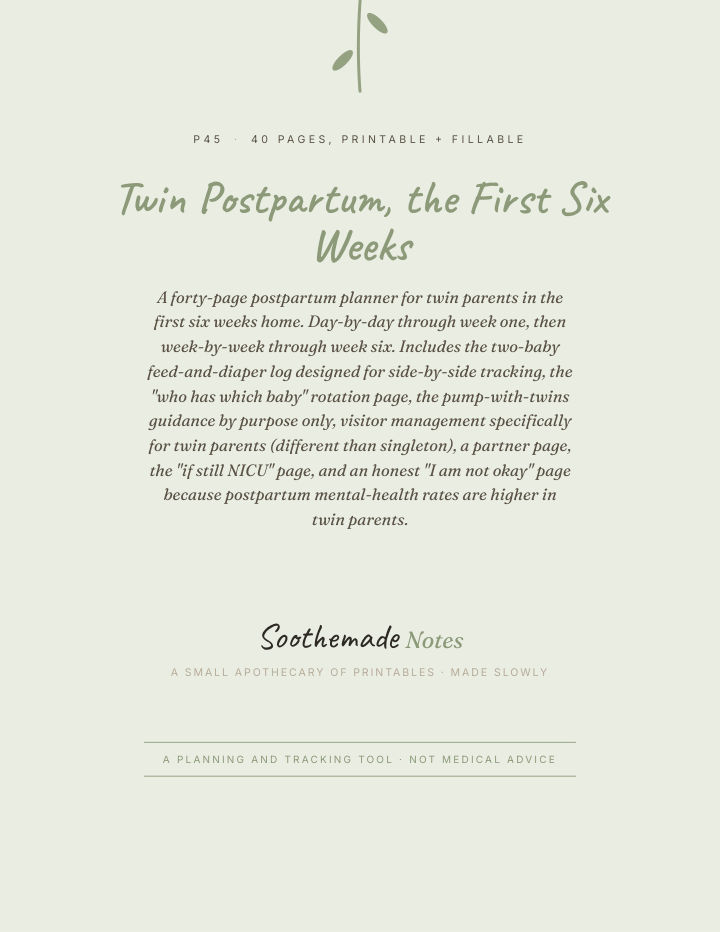 Page 1 of Twin Newborn Planner and Feeding Log: The First Six Weeks Home With Two