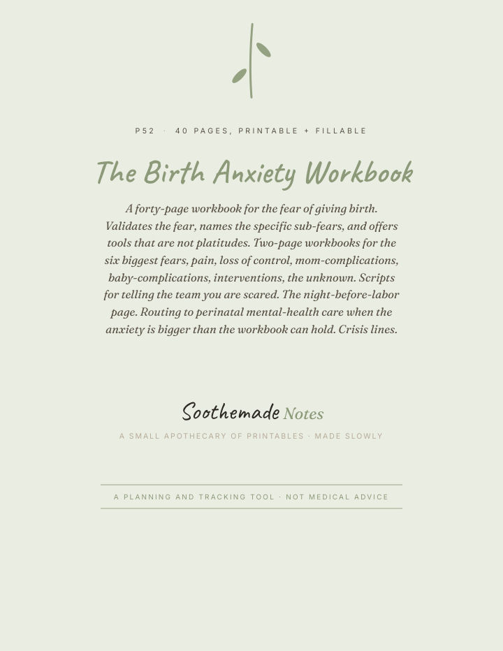 Page 1 of Fear of Childbirth Workbook: birth anxiety, tokophobia, scared to give birth. The fear is allowed.