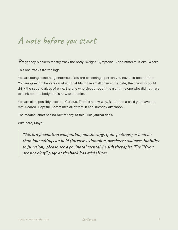 Page 2 of Pregnancy Journal for Emotions and Identity: The Feelings No Chart Tracks