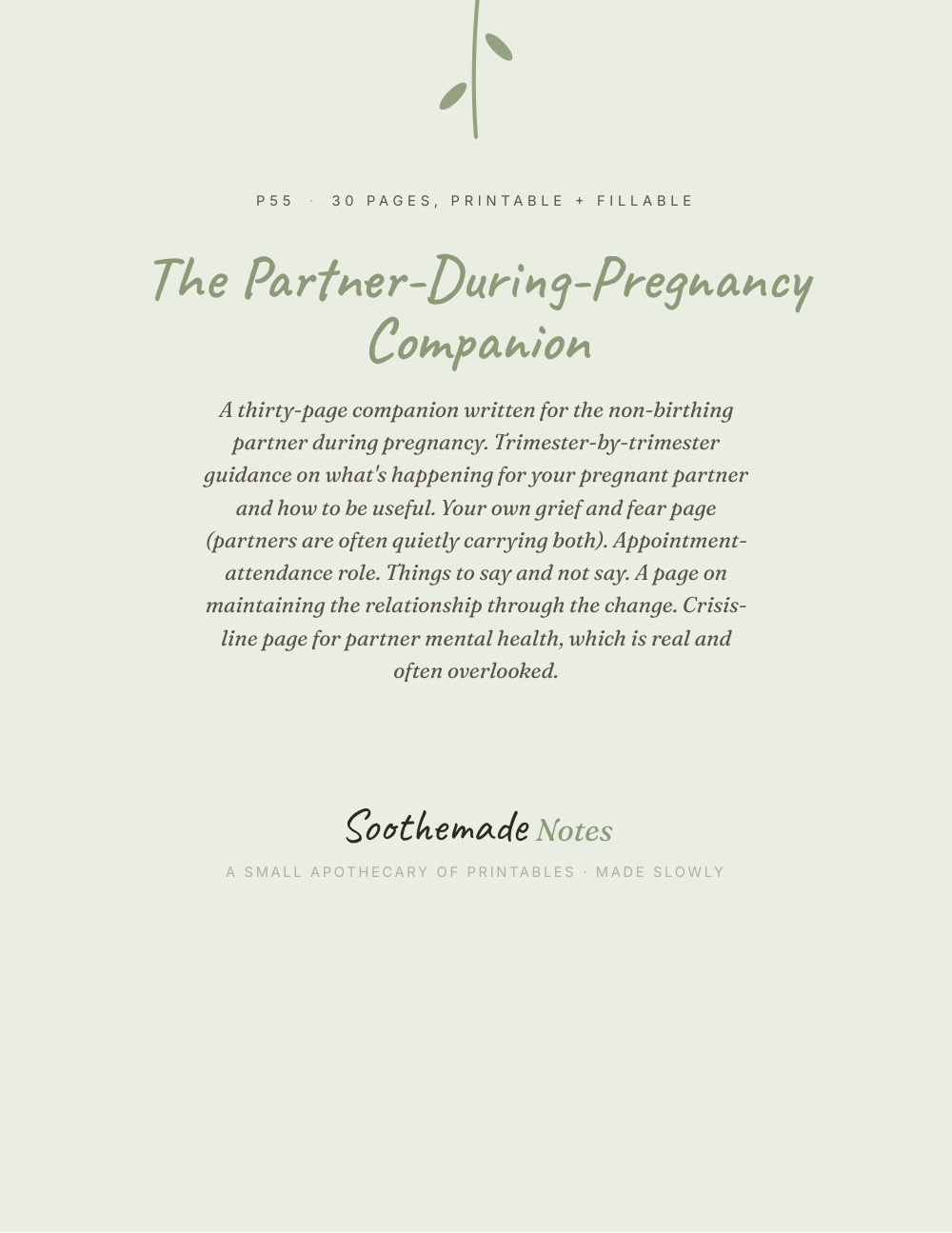 Cover page of Pregnancy Guide for Partners and Dads-to-Be: The Nine Months You Are Also Living